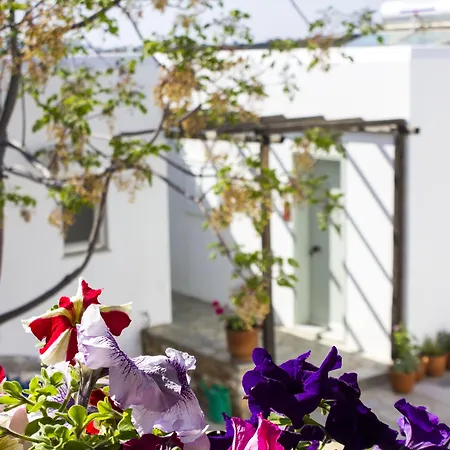 Parosland Αλυκή